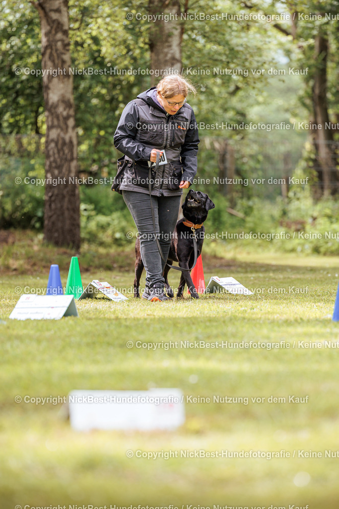 RO-Blumenthal-2026-Nickbest-Hundefotografie-5072 | Dein Hund! Dein Moment! Deine Erinnerungen! Hundefotografie in Bremen Blumenthal. Ich fange die besonderen Momente deines Vierbeiners ein – ob Indoor mit Blitzanlage oder in der freien Natur. Sicher dir dein Moment und dein Termin für eure Erinnerungen.