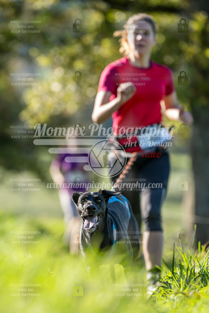 MompixPhotography_20TSB_E3_Run-201 | PayLife