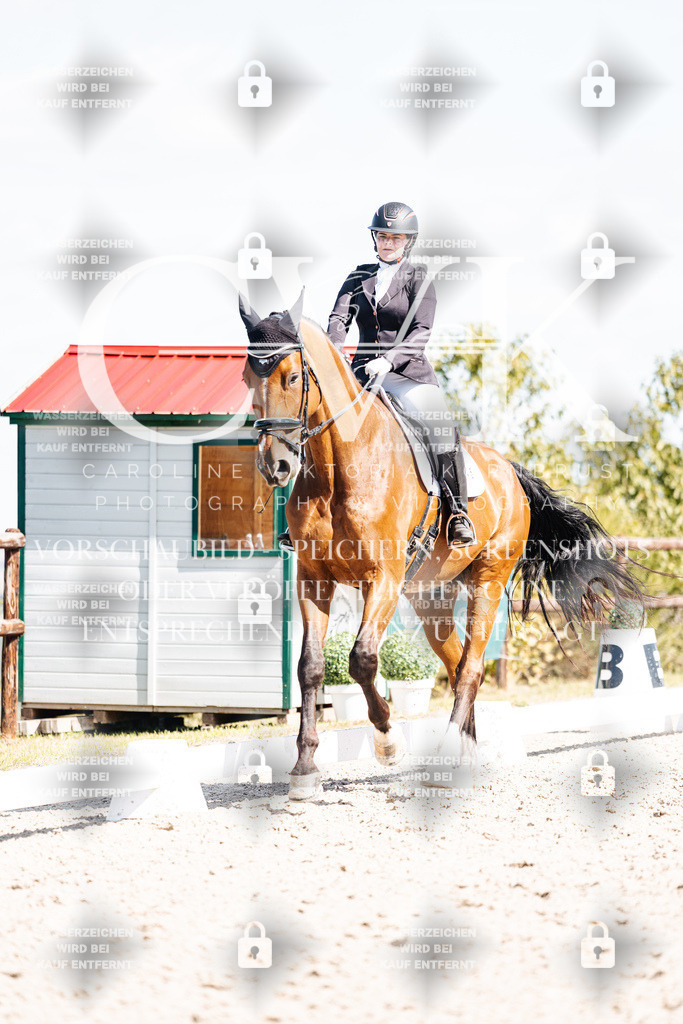 CK903229 | Turnierfotografie Pferdefotografie Trier Rheinland-Pfalz Pferdesport Reitsport Tierfotografie Sportfotografie Pferdevideo Pferdevideografie Equestrianvideography equestrianphotography  - Realisiert mit Pictrs.com