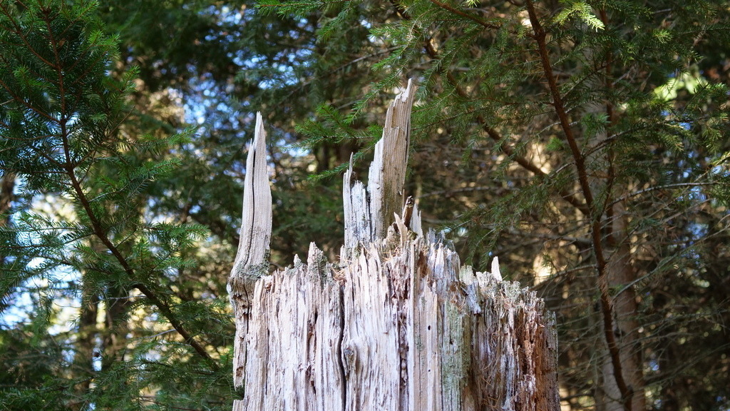 P1055171 | klausulrichmoeller