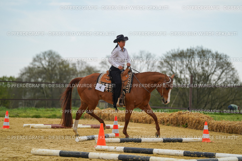 DSC02562 | Pferdegrafie