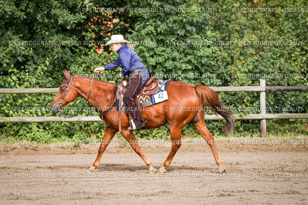 DSC00251 | Pferdegrafie