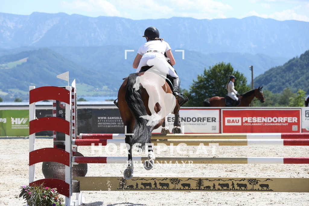 PP017781 | Willkommen bei Brunnmayr - Design & Fotografie – Ihrem Spezialisten für Reitturniere und Pferdeveranstaltungen in Oberösterreich, Salzburg und Bayern! Seit über 17 Jahren sind wir leidenschaftlich dabei.