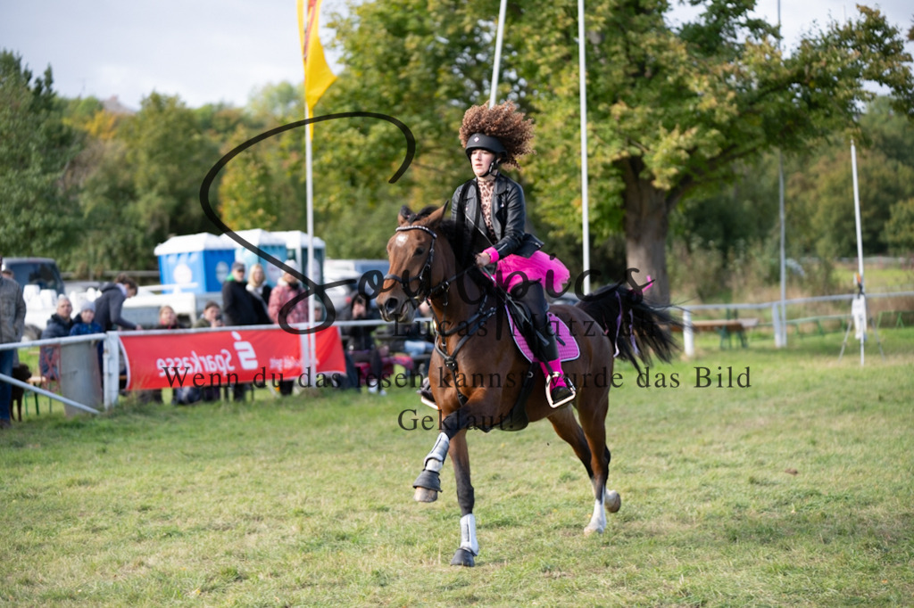 A7V06530 | Pferdefotograf