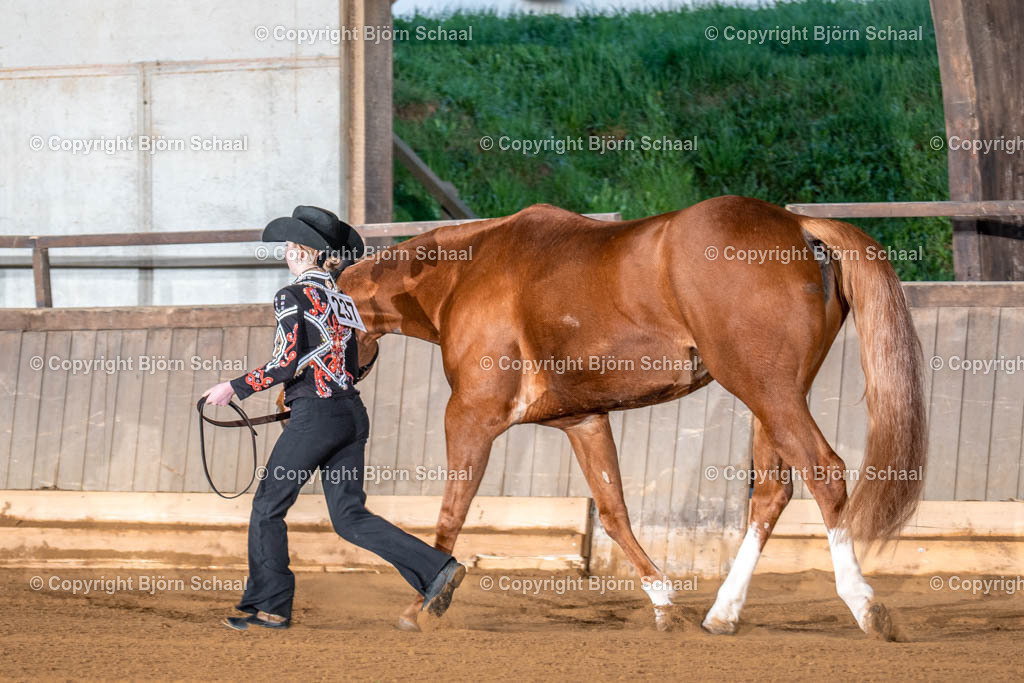 AQS02439 | BS-foto