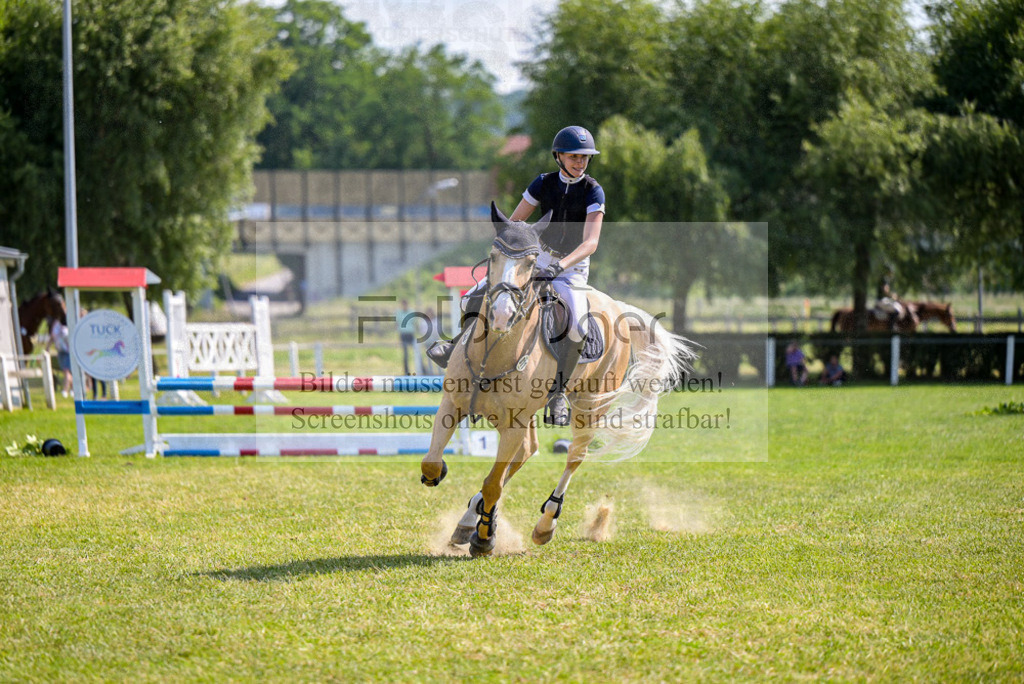 Reitturnier Voxtrup | Entdecke hochwertige Reitturnierfotos von Foto Oger. Professionell, emotional und authentisch – jetzt Lieblingsmomente im Shop bestellen.Deutschlandweite Turnierfotografie. - Realisiert mit Pictrs.com