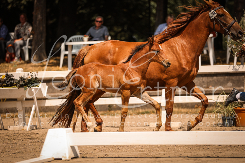 03.DoAB00059 | Leoni Ertmer Photography - Realisiert mit Pictrs.com