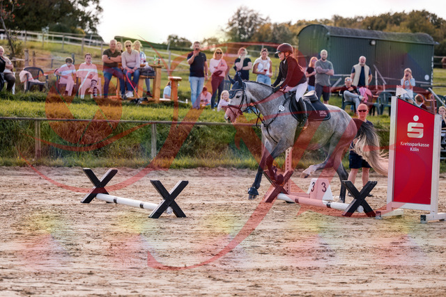2026_10_03_Siefer-Hof_145110_Z81_29545031 | Professionelle Reitsport-, Turnier- und Eventfotografie von Robert Broda. Galerien mit ausgewählten und bearbeiteten Bildern direkt online ansehen und bestellen.