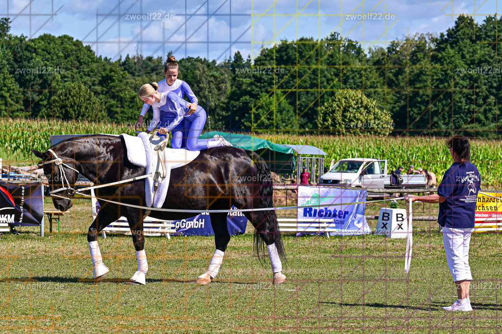 30 Jahre RFV Pulsnitz e.V., Pulsnitz am 09.08.2026 | 30Jahre Reit- und Fahrverein Pulsnitz e.V., Pulsnitz am 08.08.26, Zur 28. breitensportlichen Veranstaltung des RFV Pulsnitz e.V. fanden verschiedene Wettbewerbe in nahezu allen Disziplinen des Pferdesport statt.- Voltigier-Wettbewerb im Schritt - Realisiert mit Pictrs.com