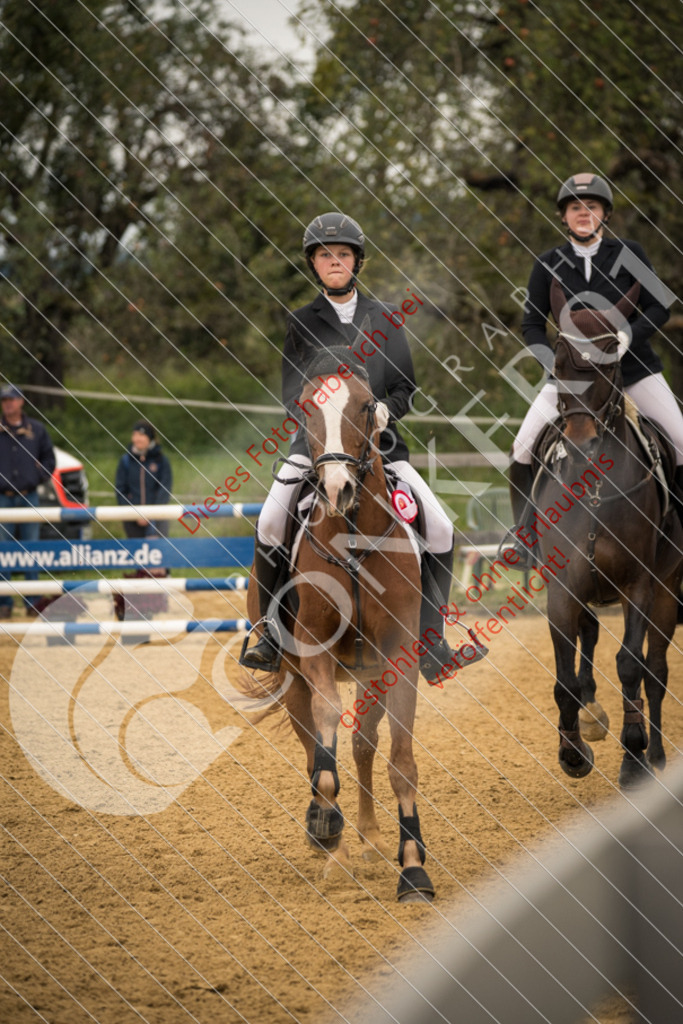 DSC_7580 | Sport-, Event- und Tierfotos in Profiqualität. Einfach auswählen, bestellen und herunterladen. Dein Moment – perfekt festgehalten.