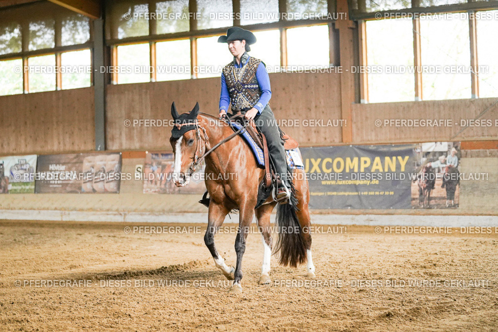 DSC05637 | Pferdegrafie