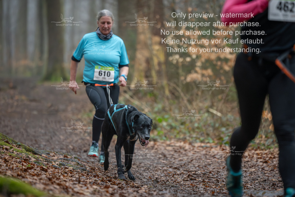 Canix_So-151 | stephaniefillaphotographie - Realisiert mit Pictrs.com