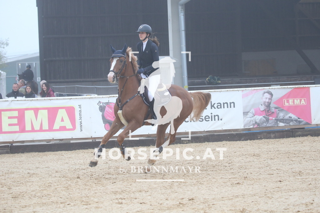 DL2Q3046 | Willkommen bei Brunnmayr - Design & Fotografie – Ihrem Spezialisten für Reitturniere und Pferdeveranstaltungen in Oberösterreich, Salzburg und Bayern! Seit über 17 Jahren sind wir leidenschaftlich dabei.