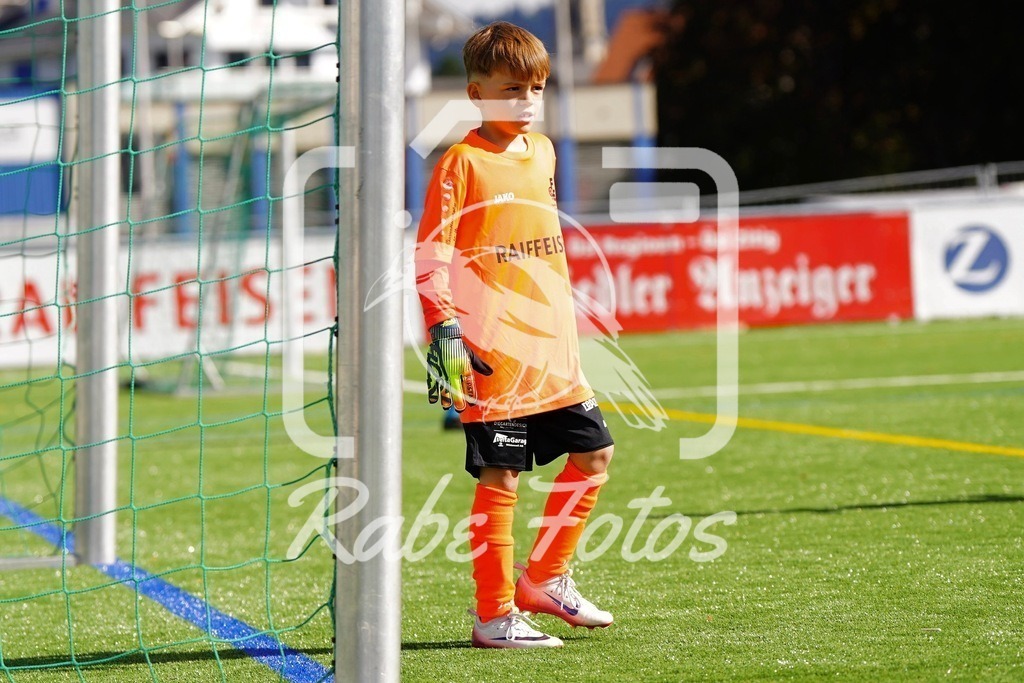 SON07612 | rabefotos