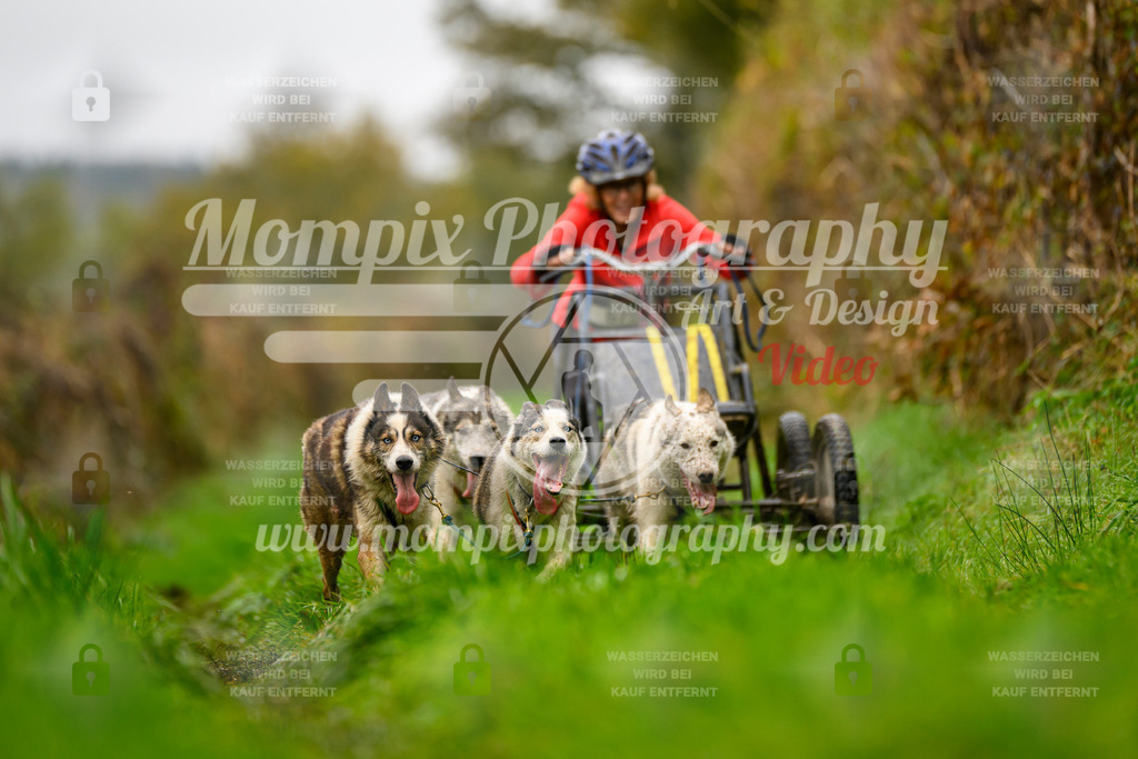 MompixPhotography_20TSB_E8_Kart-26 | PayLife