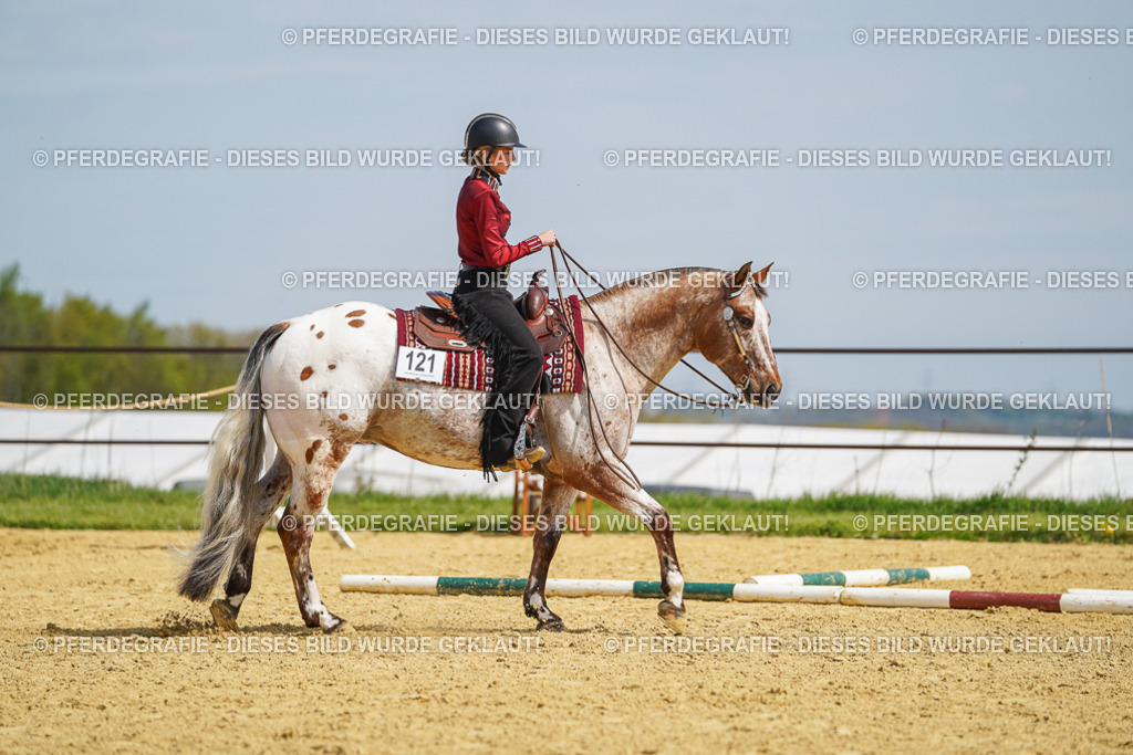 DSC04391 | Pferdegrafie