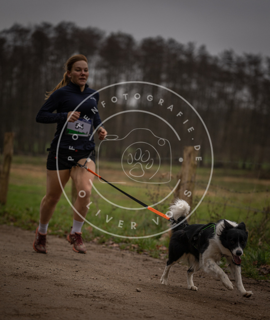 Pfotenfotografie_DV3A3009 | Hundefotografie, Tierfotograf, Pfotenfotografie, Fotoshooting Hund, Hunde Portrait, Hundesport, Hundeportraits, Heideshooting, Hunde, Sportfotograf, Hundefotograf, Turnierhundsport, THS,  - Realisiert mit Pictrs.com