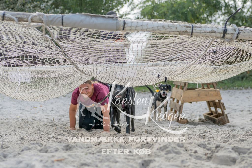 1237_ZZ92142 | kk-dogfotos