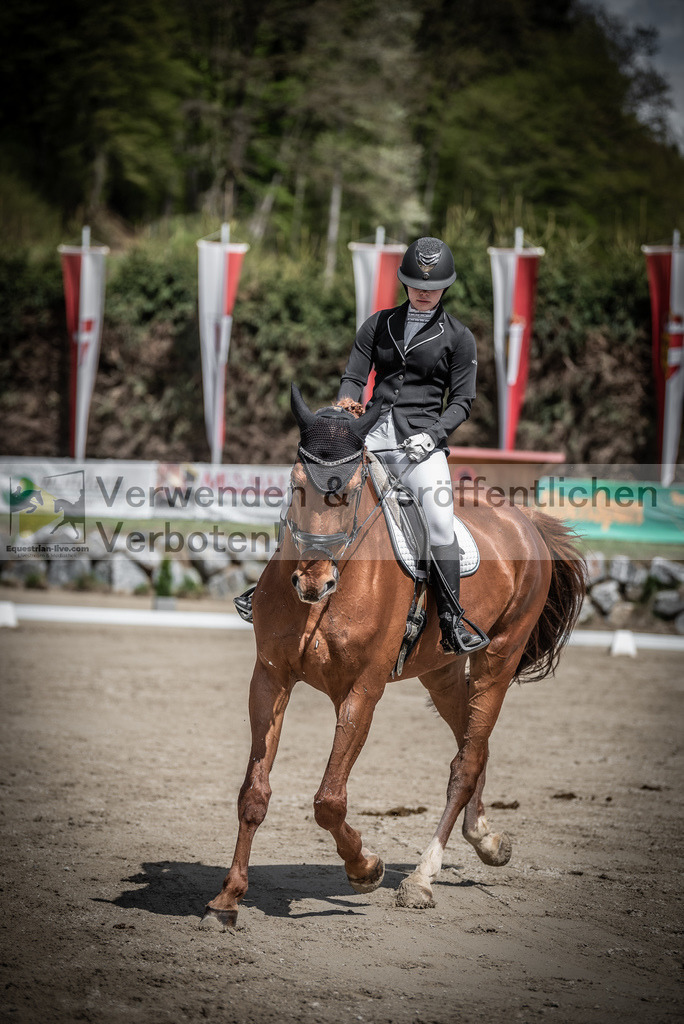 DSC_0797 | equestrian-live-com