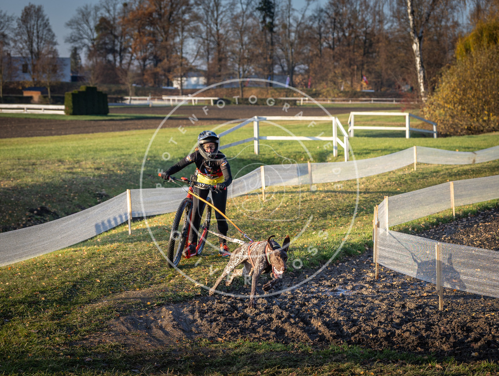 CaniXpix_DV3A0206 | Hundefotografie, Tierfotograf, Pfotenfotografie, Fotoshooting Hund, Hunde Portrait, Hundesport, Hundeportraits, Heideshooting, Hunde, Sportfotograf, Hundefotograf, Turnierhundsport, THS,  - Realisiert mit Pictrs.com