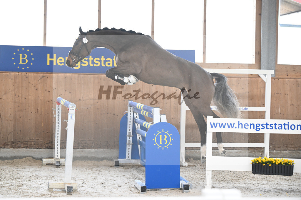 Kat-Nr. 1 Cellestina v Cellestial_Steidl_14260525 | hf-fotografie - Realisiert mit Pictrs.com