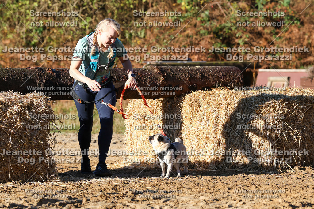 Dog Paparazzi - Strongdog 10-25-1231 | Dog Paparazzi Jeanette Grottendiek Fotografie & Videografie - Realisiert mit Pictrs.com