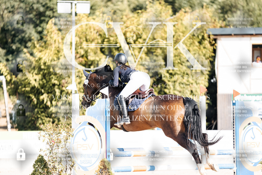 CK909207 | Turnierfotografie Pferdefotografie Trier Rheinland-Pfalz Pferdesport Reitsport Tierfotografie Sportfotografie Pferdevideo Pferdevideografie Equestrianvideography equestrianphotography  - Realisiert mit Pictrs.com