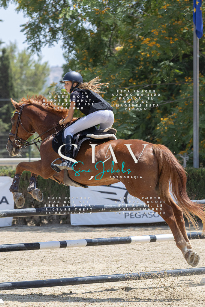 IMG_2760 | s-jay-photography - Realisiert mit Pictrs.com