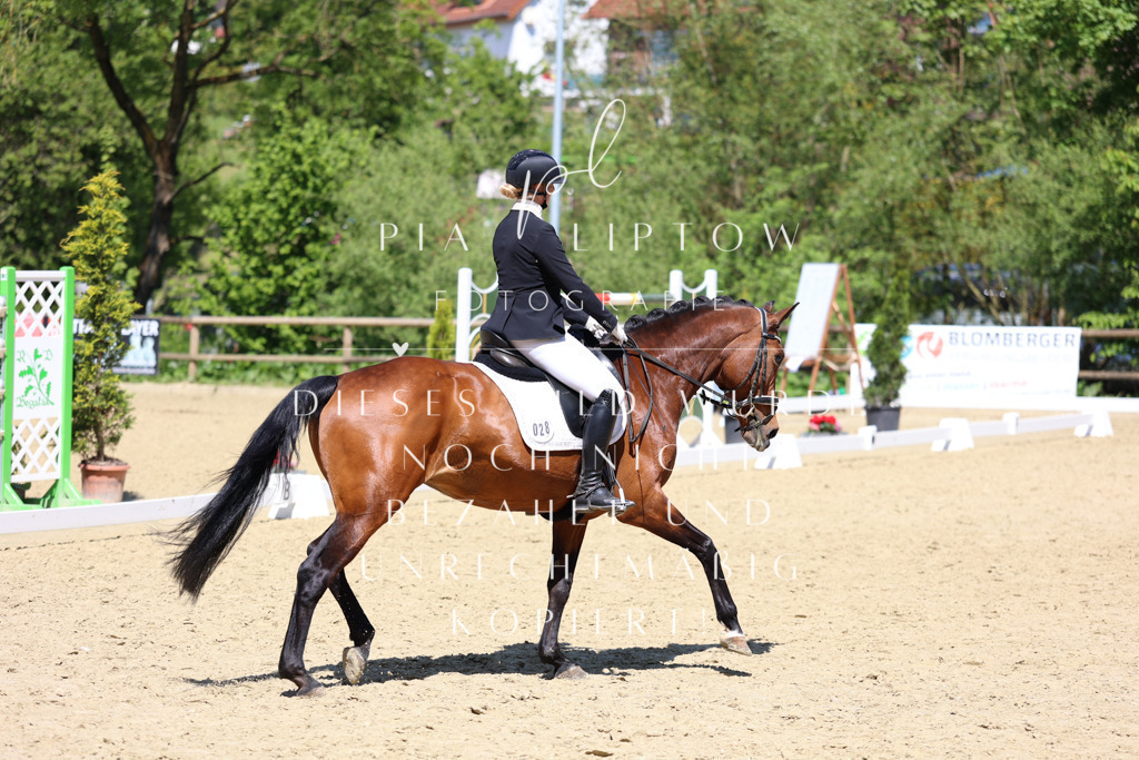 IMGS2219 | pl-fotografie