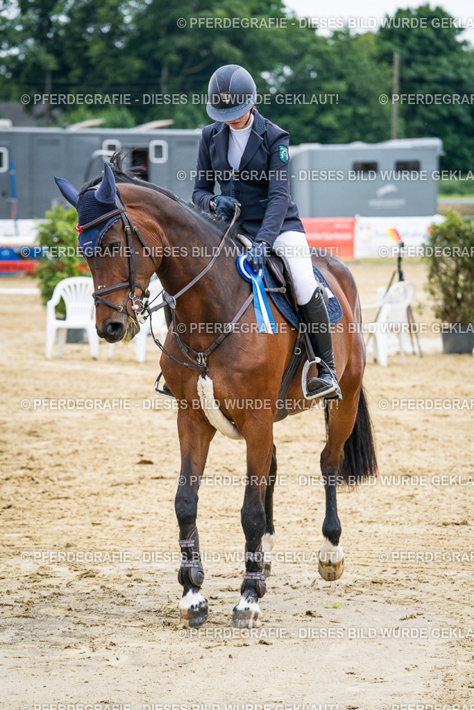 DSC06485 | Pferdegrafie