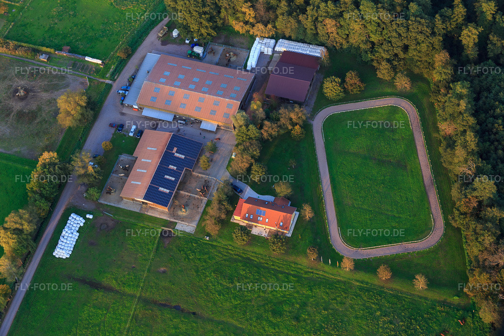 Luftbild: Islandpferde-Gestüt Bienwald in Freckenfeld im Bundesland Rheinland-Pfalz in Deutschland. Foto: IMG_074061.jpg vom 03.10.2014 durch Werner Riehm/FLY-FOTO.deIslandpferde-Gestüt Bienwald
