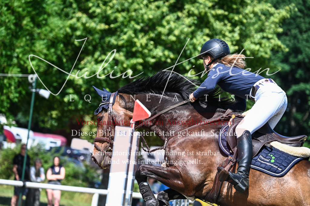 DSC_1320 | Pferde- und Turnierfotografie in Westsachsen. Pferdeportraits, Auftragszeichnungen und intuitive Kunst.