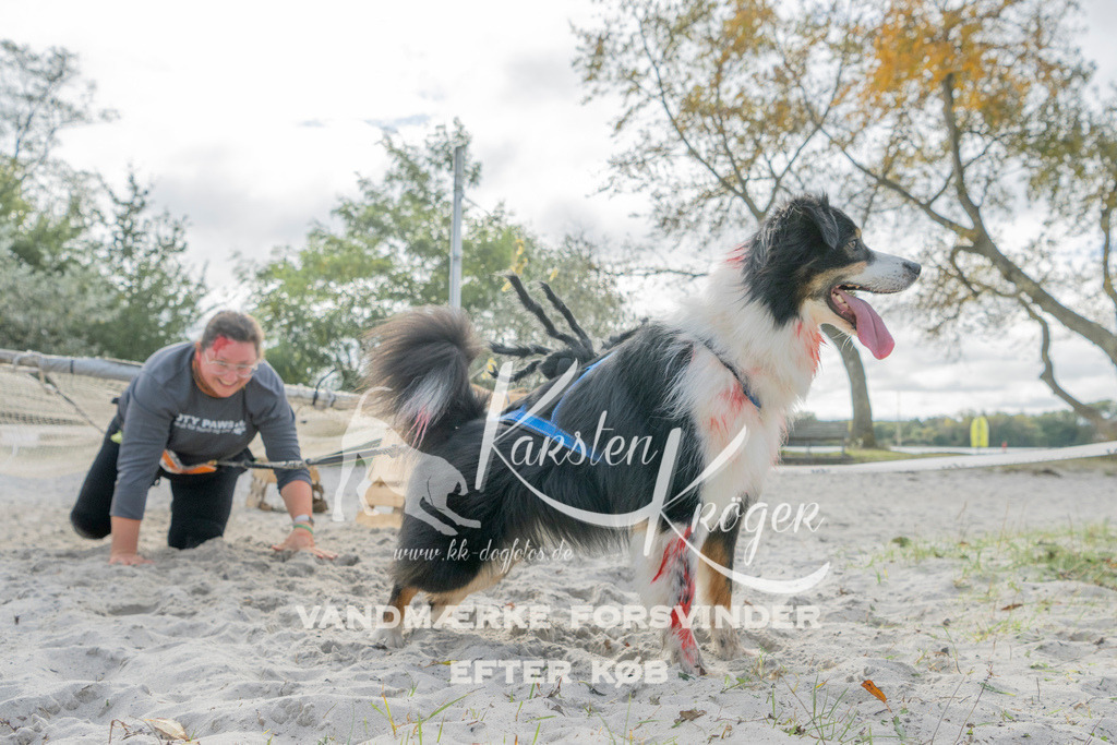 1233_ZZ91963 | kk-dogfotos