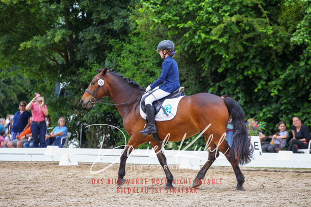 DKP46274 | Turnierfotos kaufen im Webshop von Daniel Kuhl Photography – entdecke professionelle Reitsportfotos aus Turnieren & Events. Hochwertige Turnierbilder online bestellen & sichern. Jetzt Fotos von Reitsportturnieren kaufen!