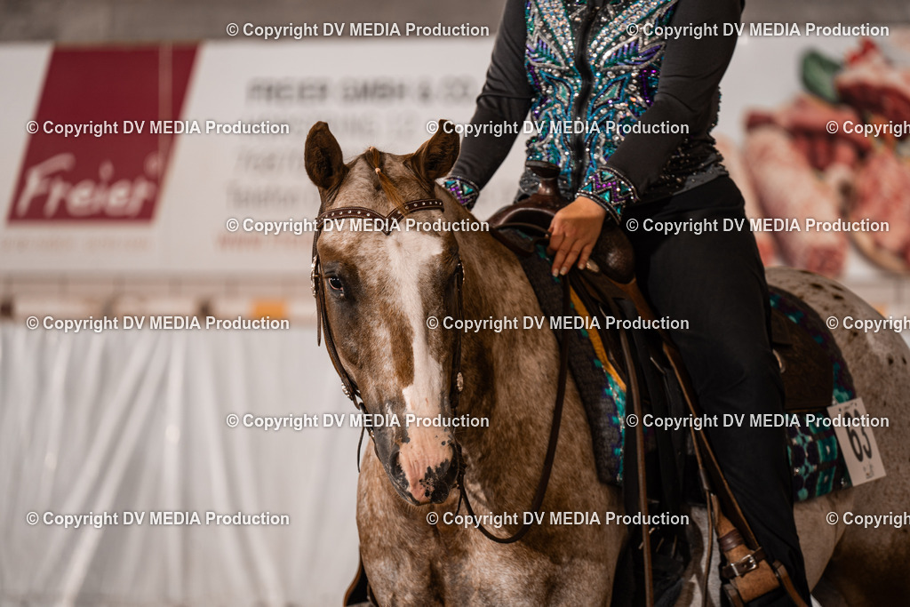 ZH100301 | dv-media-shop - Realisiert mit Pictrs.com