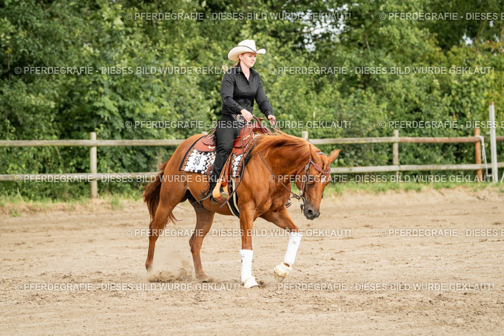 DSC05217 | Pferdegrafie