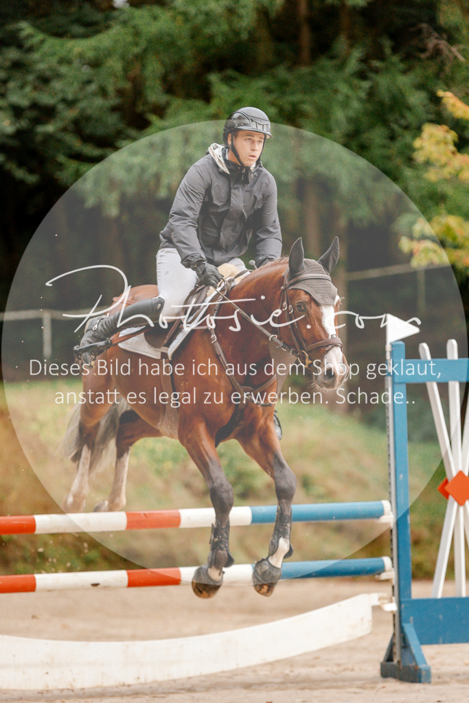3I6A5520 | Stimmungsvolle Portraits und Reitsportfotografie im Ruhrgebiet und im Münsterland.

Pferdefotografie, Hundefotografie, Tierfotografie, Reportagen, Portraits von Tier und Mensch, Turnierfotografie in Bochum, Recklinghausen, Marl, Haltern am See, Dülmen.. - Realisiert mit Pictrs.com