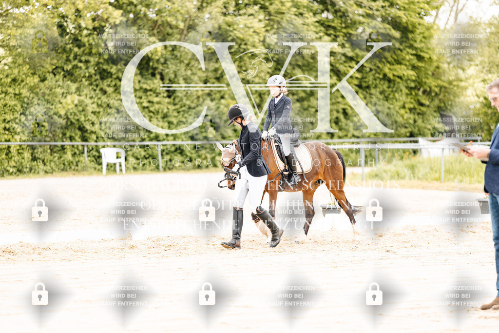 CK903665 | Turnierfotografie Pferdefotografie Trier Rheinland-Pfalz Pferdesport Reitsport Tierfotografie Sportfotografie Pferdevideo Pferdevideografie Equestrianvideography equestrianphotography  - Realisiert mit Pictrs.com