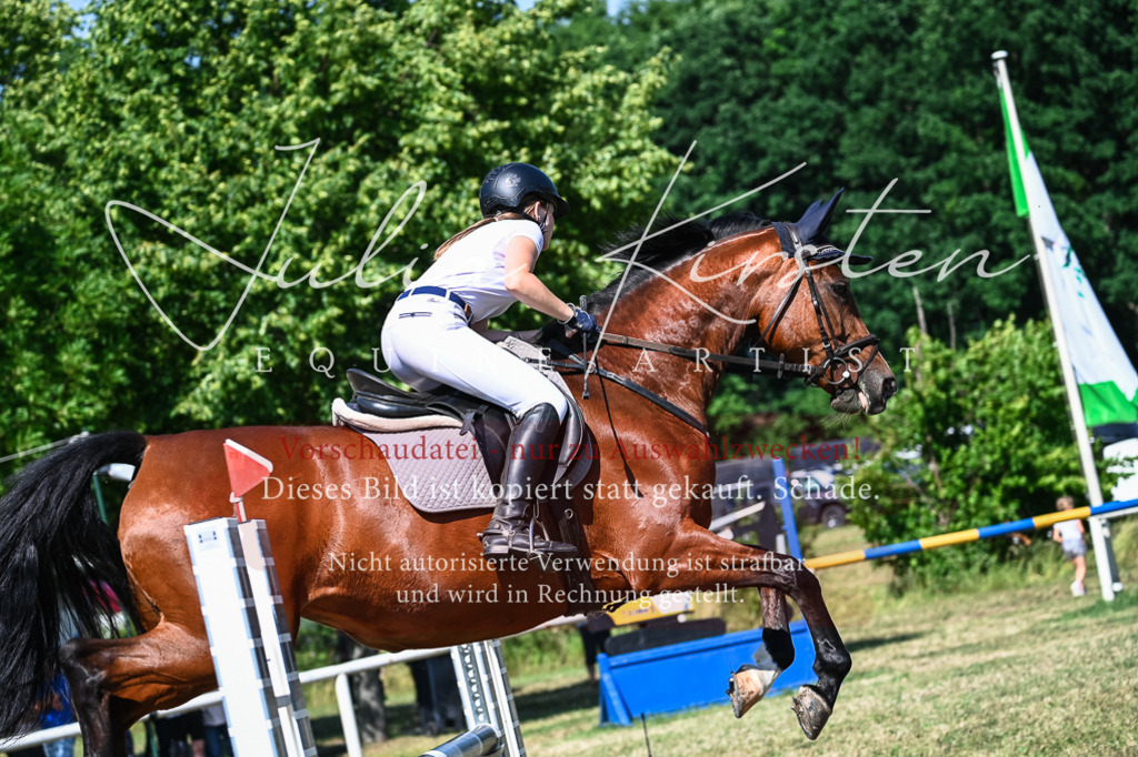 DSC_1729 | Pferde- und Turnierfotografie in Westsachsen. Pferdeportraits, Auftragszeichnungen und intuitive Kunst.