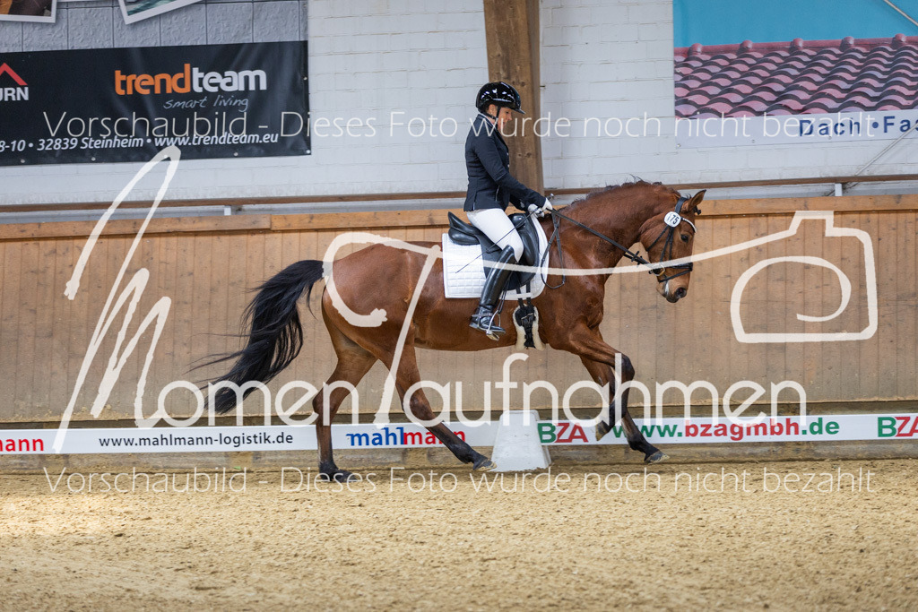 Sth-LPO25-A-Dr-032 | MomenTaufnahmen Pferdesportfotos