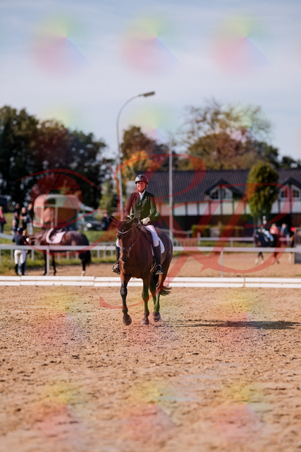 2026_10_03_Siefer-Hof_130106_Z81_52517392 | Professionelle Reitsport-, Turnier- und Eventfotografie von Robert Broda. Galerien mit ausgewählten und bearbeiteten Bildern direkt online ansehen und bestellen.