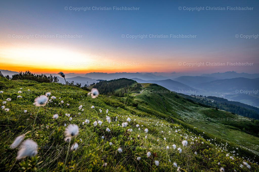 Fotos_Copyright_Chri_Fischbacher_Druck-451 | Bildershop Chri Fischbacher - Realisiert mit Pictrs.com