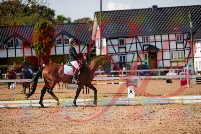 2026_10_03_Siefer-Hof_130500_Z63_68159015 | Professionelle Reitsport-, Turnier- und Eventfotografie von Robert Broda. Galerien mit ausgewählten und bearbeiteten Bildern direkt online ansehen und bestellen.