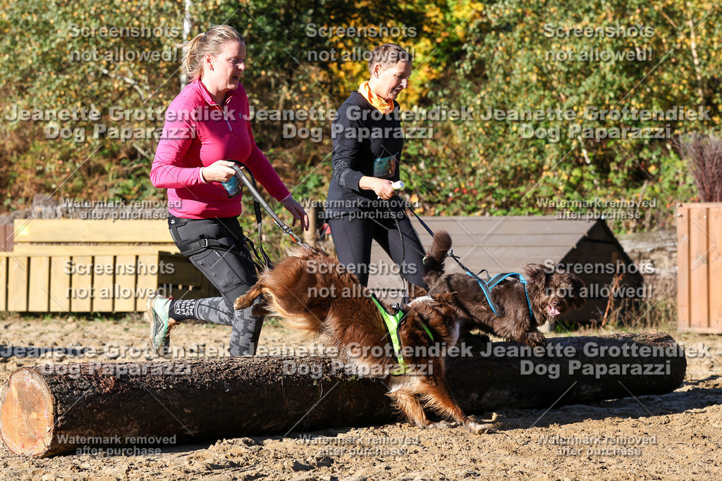 Dog Paparazzi - Strongdog 10-25-1751 | Dog Paparazzi Jeanette Grottendiek Fotografie & Videografie - Realisiert mit Pictrs.com