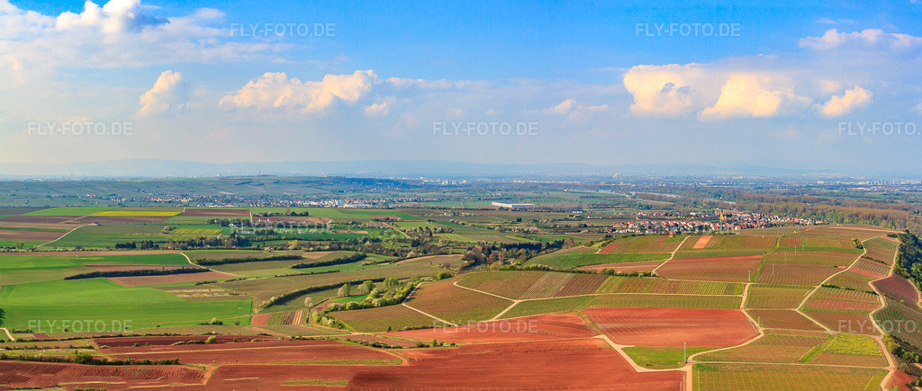 Luftbild: Weinlagen Alte Mistkaut, Hahlreuz und Rheinhahl über dem Rhein in Nackenheim im Bundesland Rheinland-Pfalz in Deutschland. Foto: IMG_49801-Pano.jpg vom 13.04.2012 durch Werner Riehm/FLY-FOTO.deAuflösung des Originals: 7394 x 3143 px