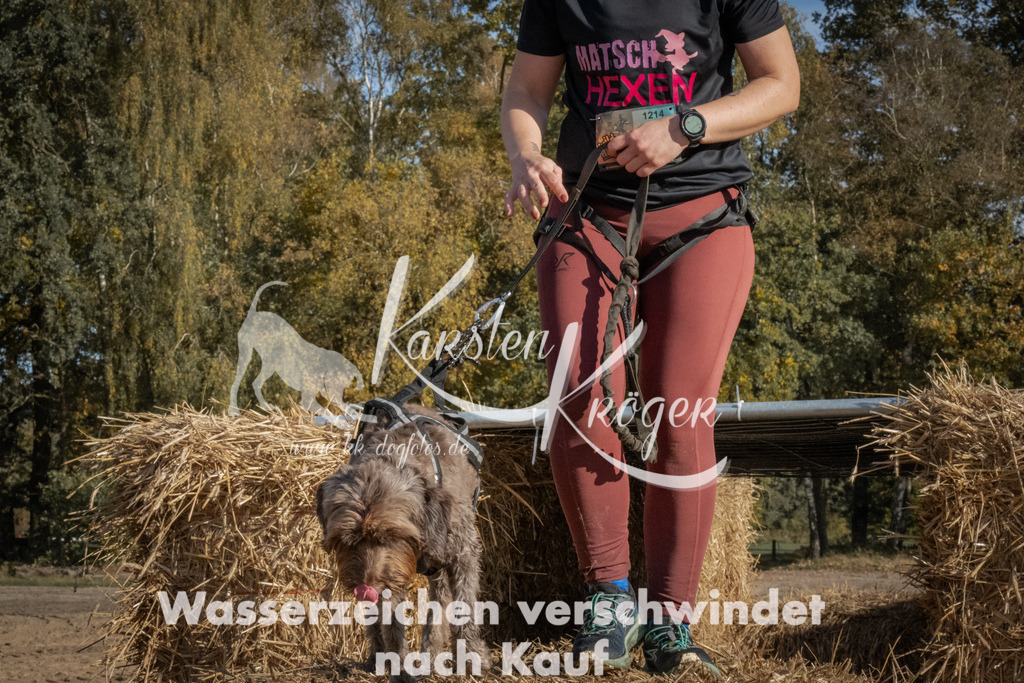 1113_ZZ90714 | kk-dogfotos