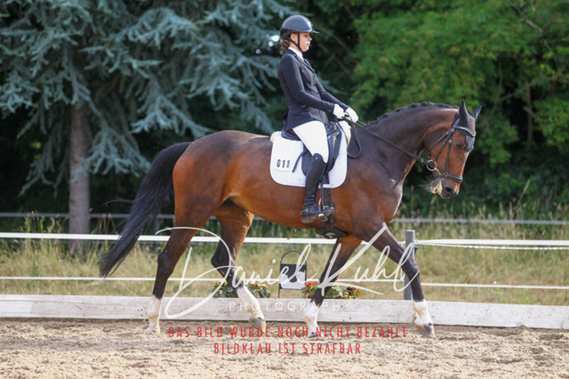 DKP45603 | Turniersportfotografie; Pferdefotografie; Dressurfotografie