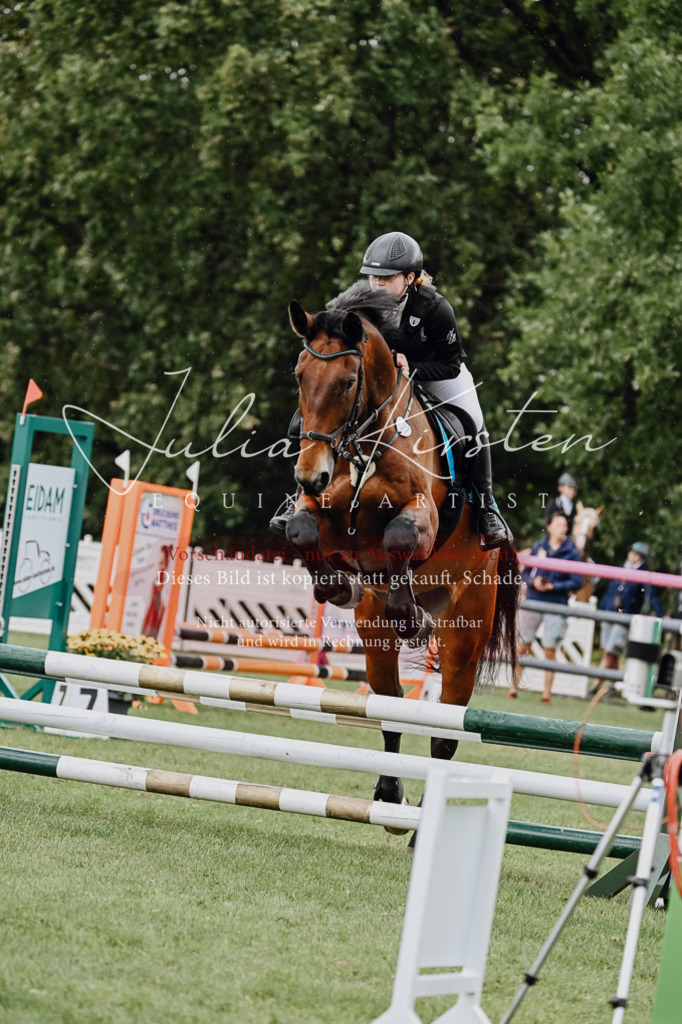 DSC_6871 | Pferde- und Turnierfotografie in Westsachsen. Pferdeportraits, Auftragszeichnungen und intuitive Kunst.