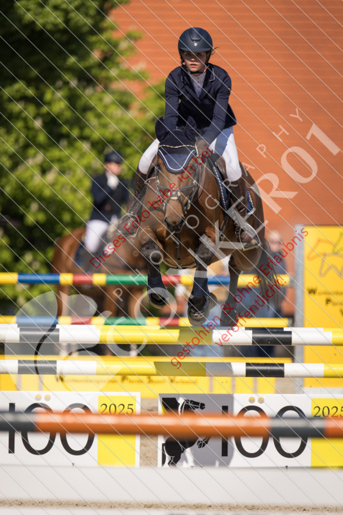 IMG_3778 | Sport-, Event- und Tierfotos in Profiqualität. Einfach auswählen, bestellen und herunterladen. Dein Moment – perfekt festgehalten.