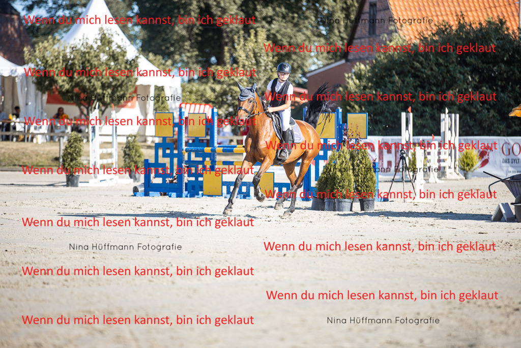 BK1A7385 | Turnierbilder Turnierfotos Nina Hüffmann Turnierfotografie Pferdefotografie Tierzeichnung Haustierzeichnung Pferdezeichnung Hundezeichnung Videograf  - Realisiert mit Pictrs.com